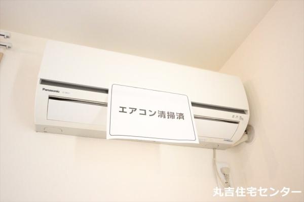 セントポーリア