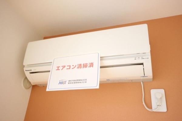 サンフラワー