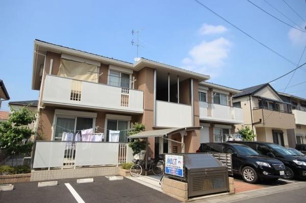 サンフラワー