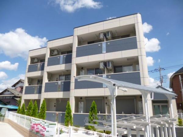 Ｓａｒｙ　ｄａ　ｃｏｒｙ