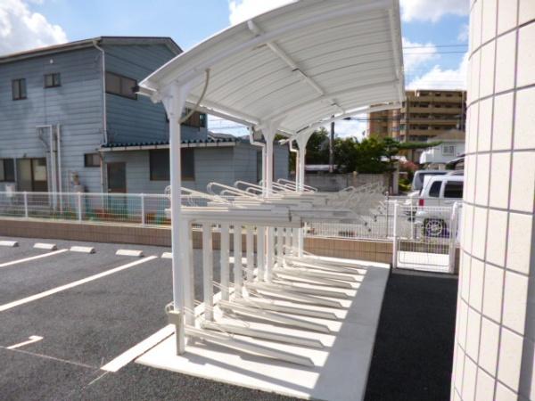 Ｓａｒｙ　ｄａ　ｃｏｒｙ