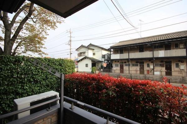 グリーンビジョン