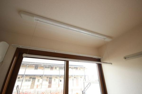 グリーンビジョン