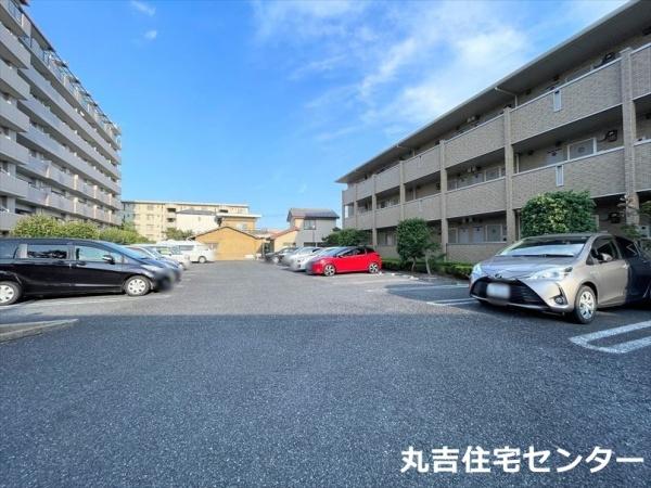 パルテア