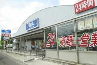 アニメート・パル(ビッグ・エー越谷東大沢店)