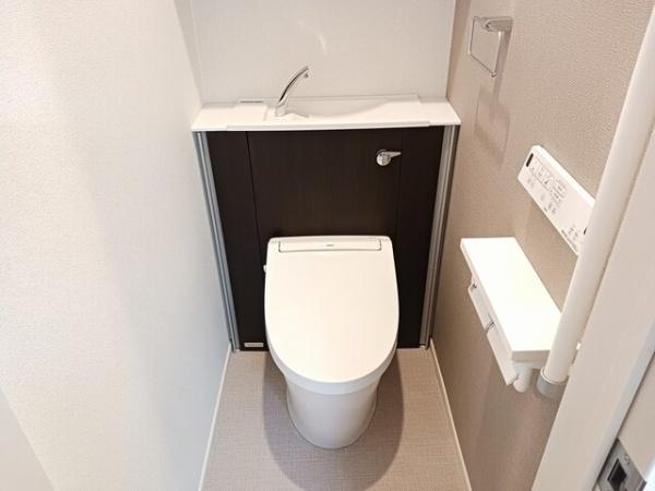 ラフレシールＳ