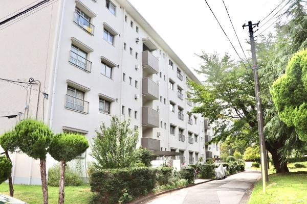 小金原団地11号棟