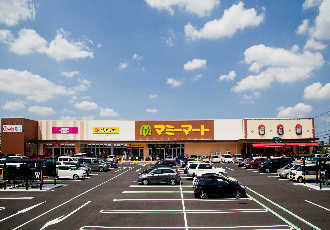松戸市二十世紀が丘戸山町の貸家(マミーマート松戸新田店)