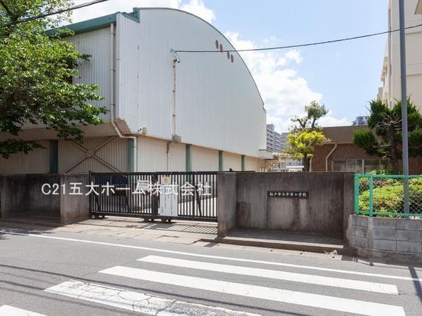 ザ・パークハウス松戸本町(松戸市立中部小学校)