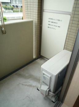 コンフォールグロウ