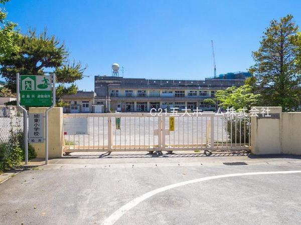 ルピアグランデ柏(柏市立旭東小学校)