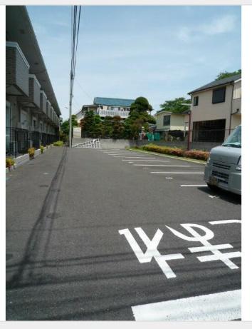グリーンソレアード