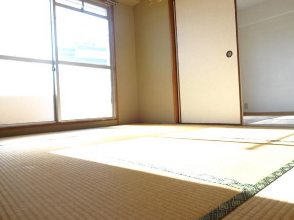 ソフィア新松戸