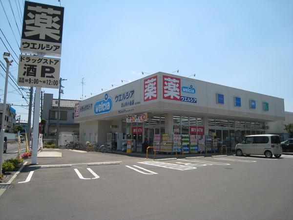 カイハイツ(ウェルシア)