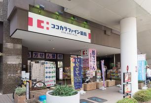 グランメール・シオン(ココカラファイン松戸店)