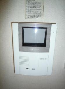 グリーンソレアード