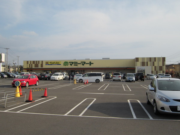 平和台建物（スペース＆キャピタル）(マミープラス西平井店)