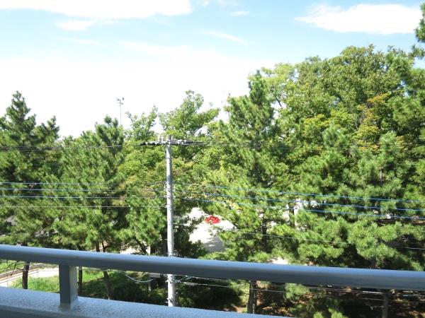 トップ南流山