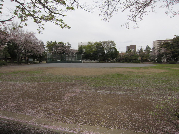 トップ南流山(南流山中央公園)