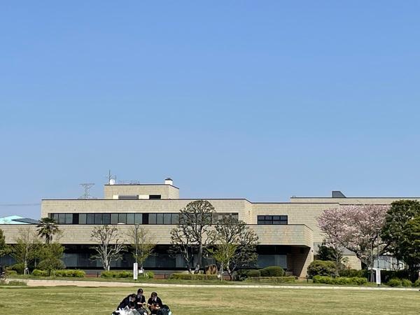 ブルーラビット(浦安中央図書館)