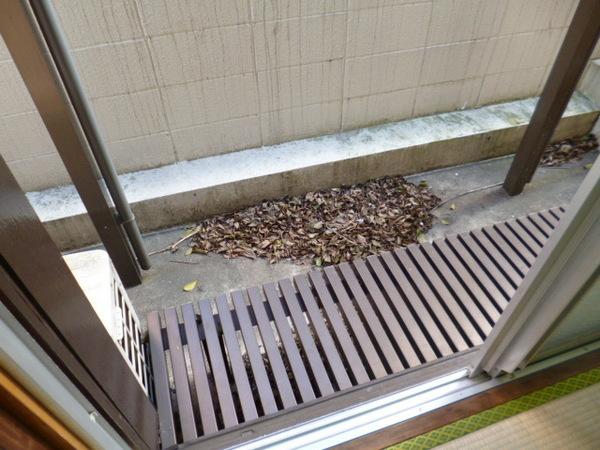 サクラハウス