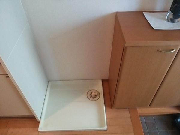プラムコート