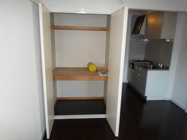 ミラーグリム(収納)