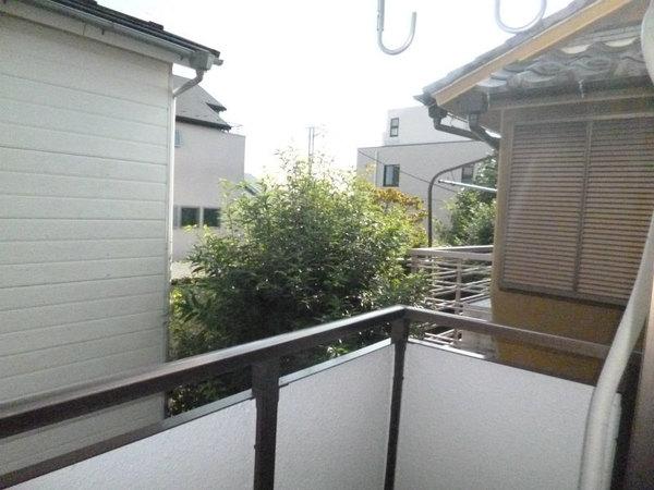 フラットカザミ