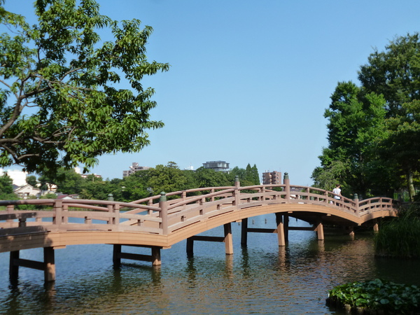 コーポ池畔(洗足八幡宮秋季大祭)