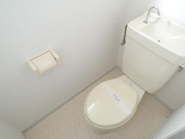 ロイヤルシャート