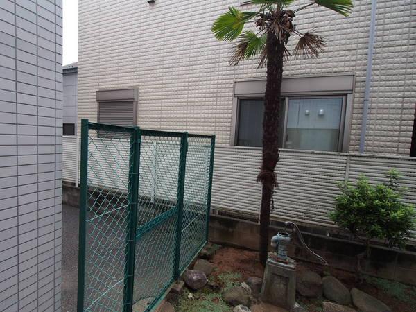 グリーンパーム