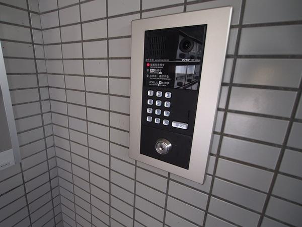 グリーンパーム