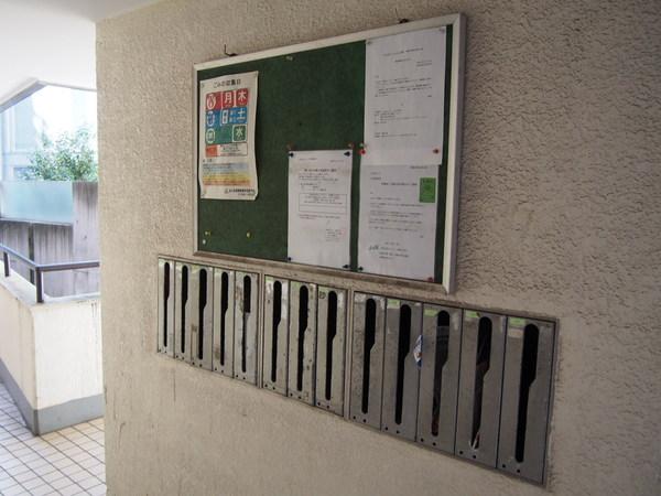 小山台コート