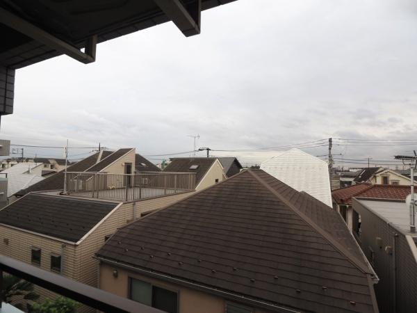 グリーンパーム