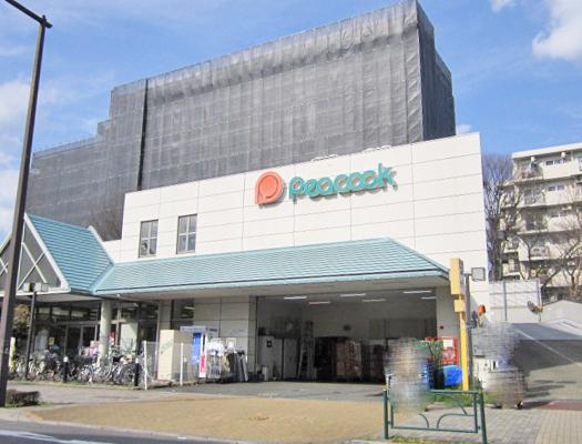 ロイヤルマンション花小金井(大丸ピーコック花小金井店)