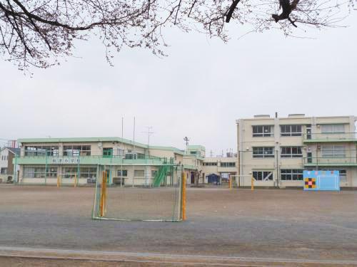 サンヒルズ氷川(秋津小学校)