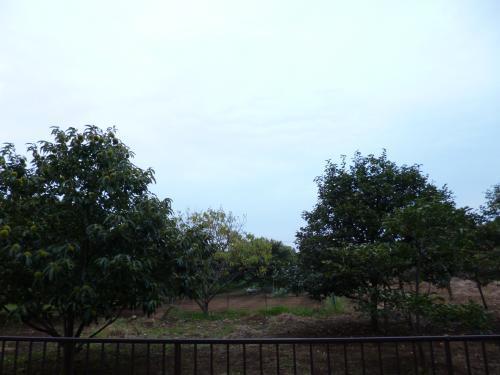 プラドマンション