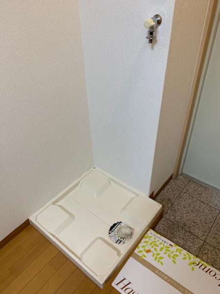 カリスヤマガ