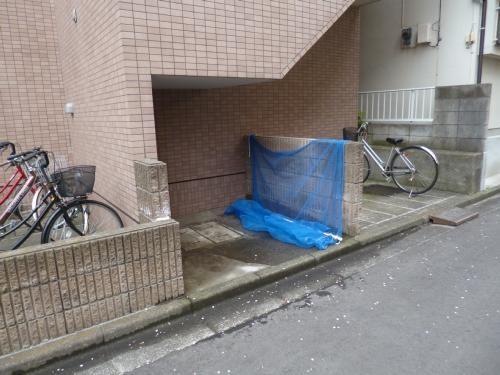 コートフローラ