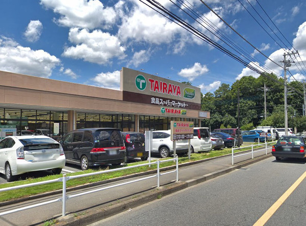 ヴィラトリアノン(たいらや小平店)