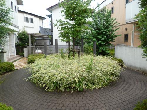 イル・ロトーレC