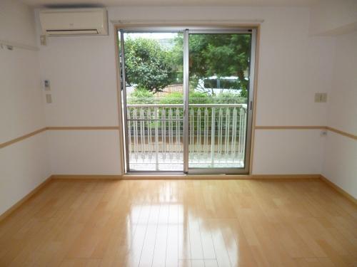 イル・ロトーレC