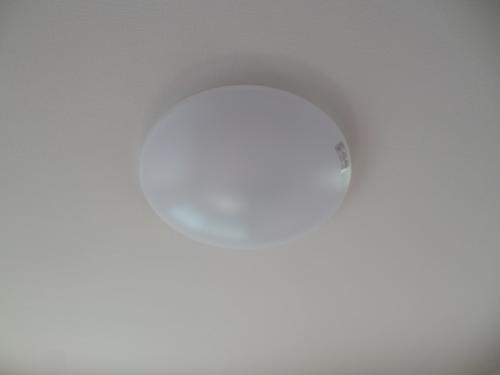 アンプルールブワ　セスト