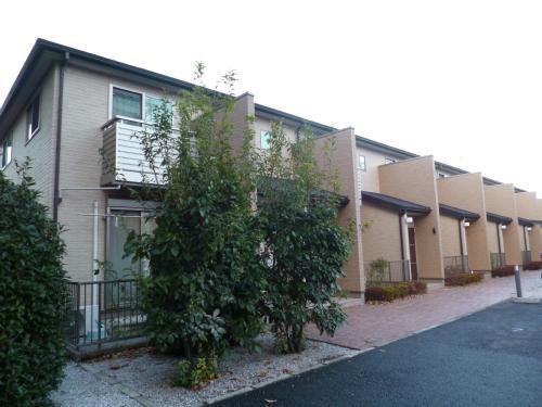 シャルマンノルド