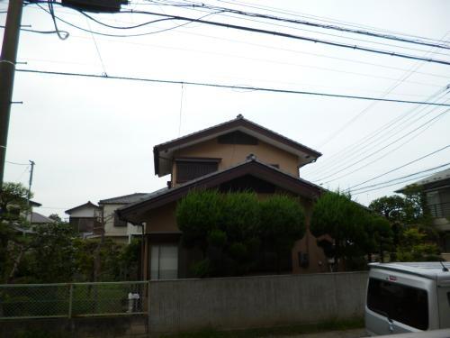 Mアルベリーノ