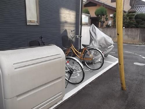 Mアルベリーノ