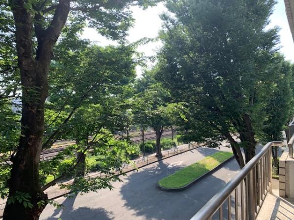 エクシード美園