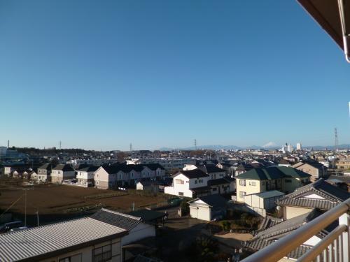 トゥインクル秋津