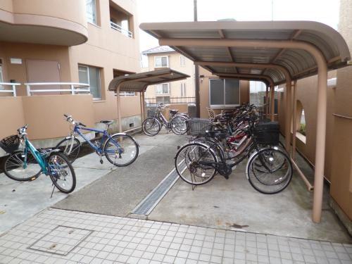 トゥインクル秋津