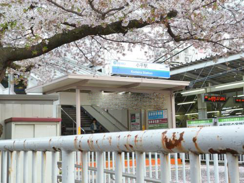 メゾンベル美園(小平駅北口)